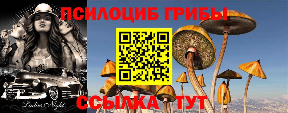 Новый Уренгой  Галлюциногенные грибы GOLDEN TEACHER  Псилоцибиновые грибы прущие грибы  Вход с VPN 