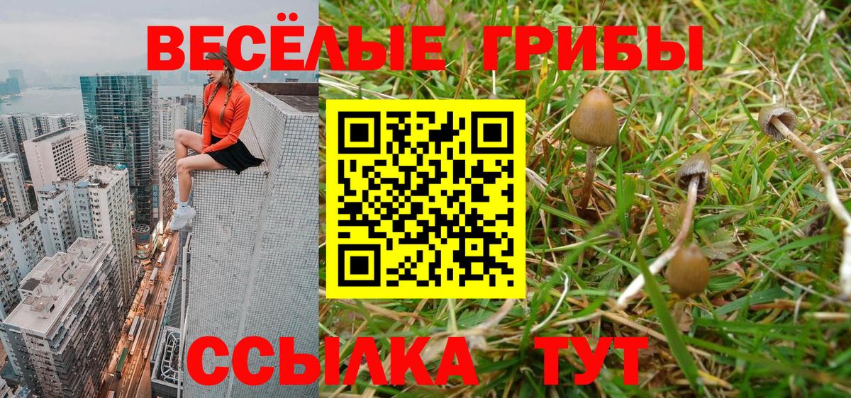 где купить наркоту  Галлюциногенные грибы Cubensis  Вход с VPN  Новый Уренгой 